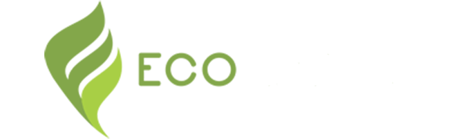 Ecolimpeza